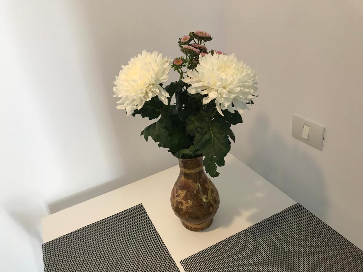 Sea Studio 콘스탄차 외부 사진